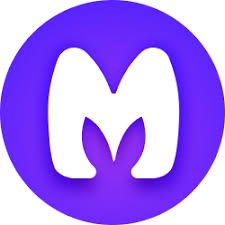 MagicSchool.ai